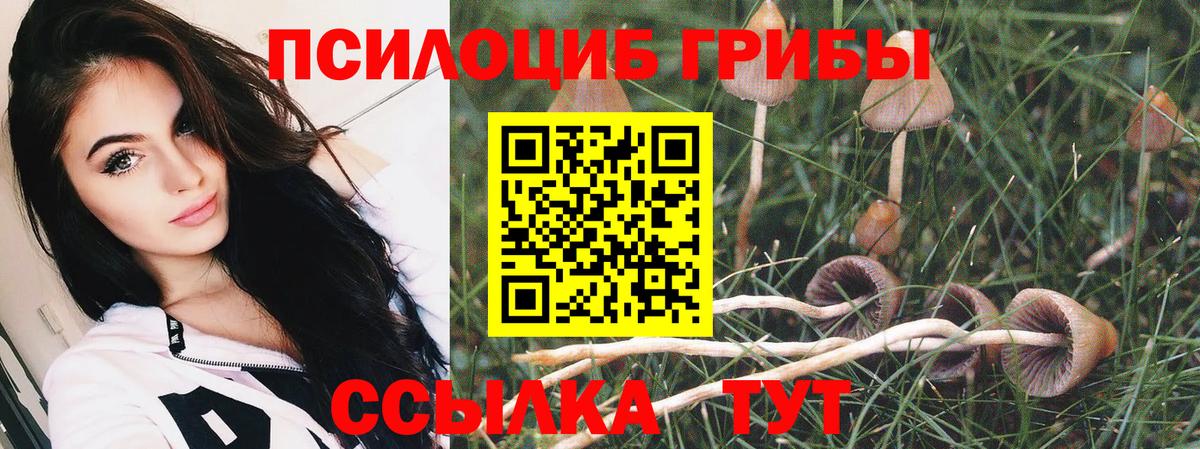 Псилоцибиновые грибы GOLDEN TEACHER  Вход с VPN  Псилоцибиновые грибы Psilocybine cubensis  Советская Гавань 